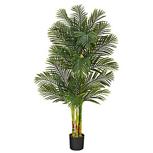 Triple Stalk Golden Cane Palm Tree, , large