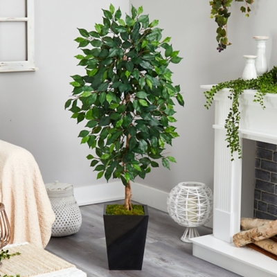 A600021119 5 Ficus Artificial Tree in Black Metal Planter, Gr sku A600021119