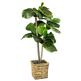 Mini Fiddle Leaf Fig Tree in Basket, , large