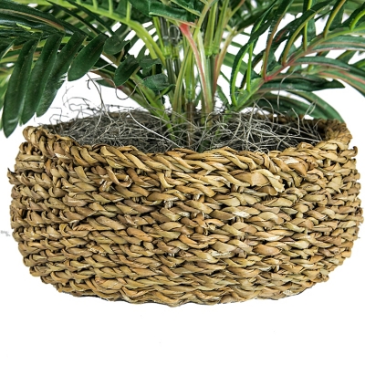 Palm in Low Basket Planter | Ashley Furniture HomeStore