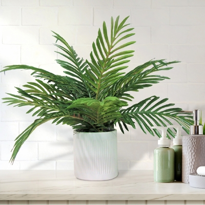 19-inch Phoenix Palm in Deco White Ceramic Pot, , rollover