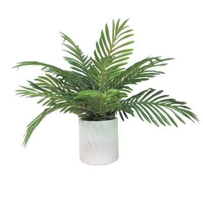 19-inch Phoenix Palm in Deco White Ceramic Pot, , large