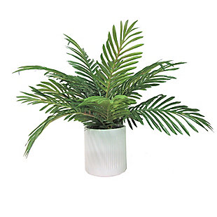 19-inch Phoenix Palm in Deco White Ceramic Pot, , large