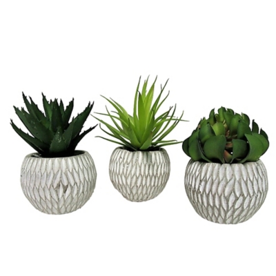 Set of 3 Succulents in Deco Concrete Pots, , rollover