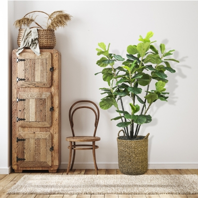 5.6-foot Fiddle Leaf Fig Tree, Green