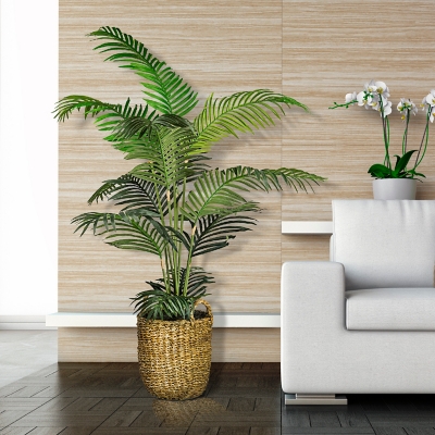 A600021207 Areca Palm Tree in a Basket, Green sku A600021207