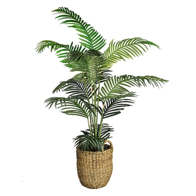 Areca Palm Tree in a Basket, , large