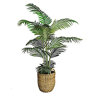 5-foot Areca Palm Tree in a basket, , large
