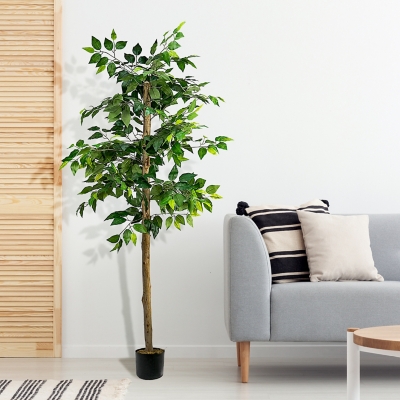 Ficus Tree in Pot, Green