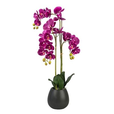 32-inch Fushia Orchid in Black Ceramic Pot, , large