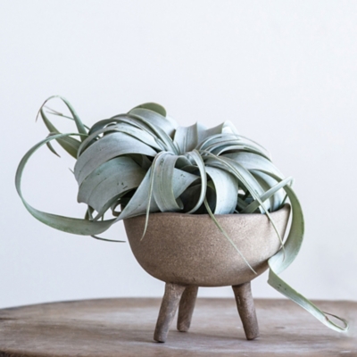 Storied Home Matte Taupe Terracotta Footed Planter