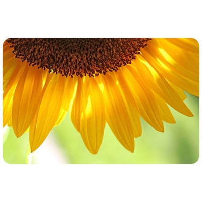 Sunflower 23"x36" Mat, , large