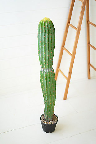 Artificial Single Trunk Cactus in a Plastic Pot, , rollover