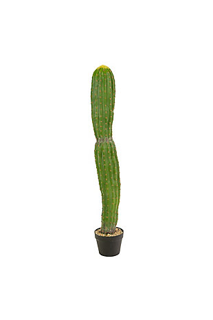 Artificial Single Trunk Cactus in a Plastic Pot, , large