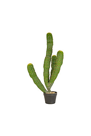 Artificial Multi Trunk Cactus in a Plastic Pot, , large