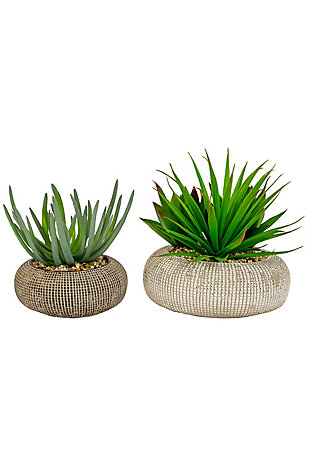 Set of Two Succulents In Concrete Pots, , large