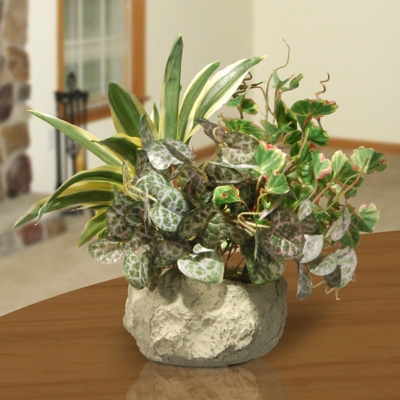 National Tree Company Potted Plant, , rollover