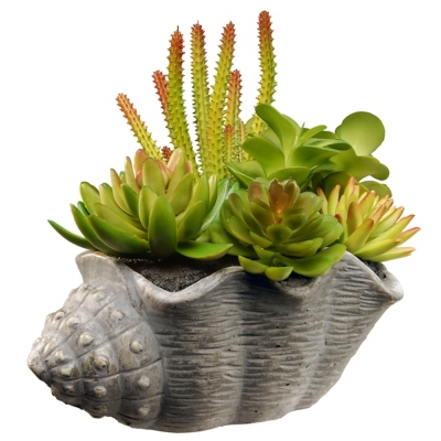 National Tree Company Succulent Plants, , large