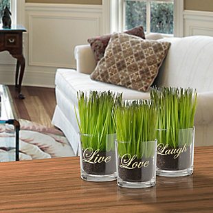 National Tree Company Sprout-Filled Glass Assortment, , rollover