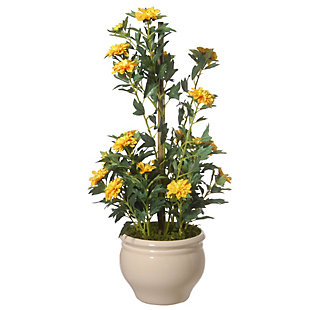 National Tree Company Potted Zinnia Flowers, , large