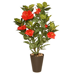 National Tree Company Potted Hibiscus Plant, , large