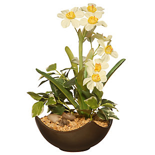 National Tree Company Potted Narcissus Plant, , large