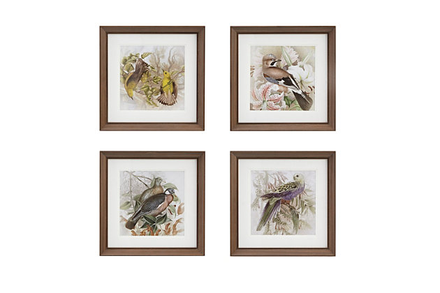 The Martha Stewart "Pretty Bird" graphic wall art set adds a charming country-inspired accent to your home decor. Each framed wall art piece features a stunning bird in a double matte display with glass front, for a serene cottage touch.Made of paper, engineered wood, glass and polystyrene | White and brown | Glass front frame with brown finish | Double matted | Giclee reproduction | Ready to hang (sawtooth hangers) | Indoor use only | Imported