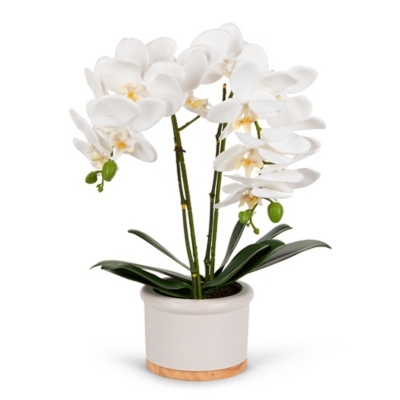 18-Inch Tall Real Touch Ultra-realistic White Phalaenopsis Arrangement In Pot, , large