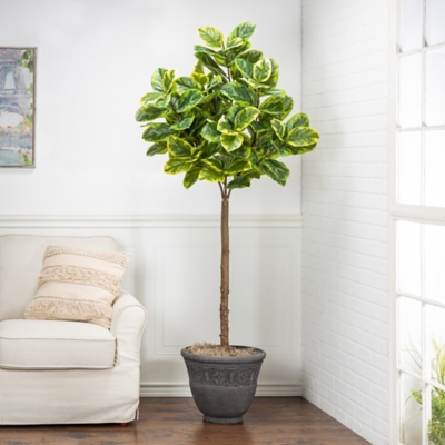 6-Foot Tall Real Touch Ultra-realistic Varrigated Ficus Plant In Plastic Pot With Faux Dirt, Green