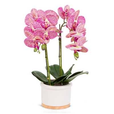 18-Inch Tall Real Touch Ultra-realistic Pink Phalaenopsis Arrangement In Pot, , large