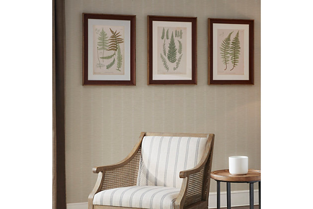 Give your space a refreshing botanical touch with the Martha Stewart Lady Fern Collection Single Matte Frame Graphic 3-Piece Set. Each country-inspired wall piece features a lovely fern graphic displayed in a single matte frame to create an elegant cottage allure. A glass top protects the framed graphic, while sawtooth fixtures make it easy to hang on your wall. Hang this 3-piece framed botanic wall art together or separately to give your home a touch of color and country style. 3-piece set | Single matte art displaying botanical lady fern graphic | Engineered wood frame with glass top  | Cottage/country home decorating idea  | Sawtooth fixtures to hang on a wall | Dimensions each piece: 18.75" x 24.75" x 1.2" | Spot clean