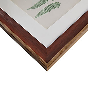 Give your space a refreshing botanical touch with the Martha Stewart Lady Fern Collection Single Matte Frame Graphic 3-Piece Set. Each country-inspired wall piece features a lovely fern graphic displayed in a single matte frame to create an elegant cottage allure. A glass top protects the framed graphic, while sawtooth fixtures make it easy to hang on your wall. Hang this 3-piece framed botanic wall art together or separately to give your home a touch of color and country style. 3-piece set | Single matte art displaying botanical lady fern graphic | Engineered wood frame with glass top  | Cottage/country home decorating idea  | Sawtooth fixtures to hang on a wall | Dimensions each piece: 18.75" x 24.75" x 1.2" | Spot clean