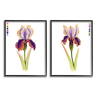 Stupell Industries Orange Purple Iris Flower With Color Key, 16 X 20, Framed Wall Art, Purple, large