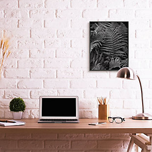 Stupell Industries Ferns In The Forest Black And White Photograph, 24 X 30, Framed Wall Art, Black, rollover