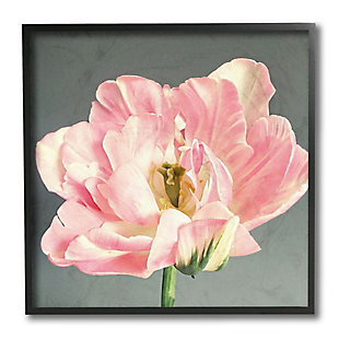 Stupell Industries Pink Floral Close-up Flower Petal Bloom , 12 X 12, Framed Wall Art, , large