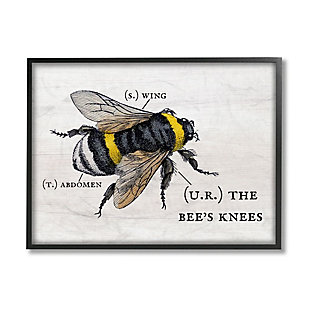 Stupell Industries Anatomy Of Honey Bee Pun Charming Bee's Knees, 24 X 30, Framed Wall Art, Off White, large
