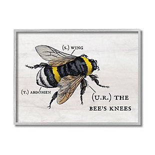 Stupell Industries Anatomy Of Honey Bee Pun Charming Bee's Knees, 16 X 20, Framed Wall Art, Off White, large