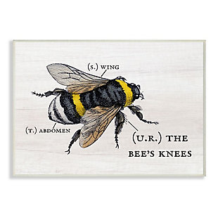 Stupell Industries Anatomy Of Honey Bee Pun Charming Bee's Knees, 13 X 19, Wood Wall Art, Off White, large