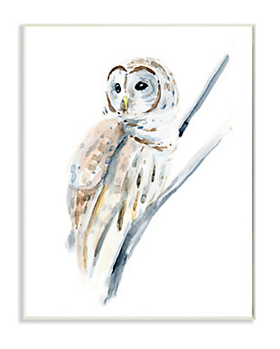 Stupell Industries Soft Arctic Owl Perched On Minimal Branch, 13 X 19, Wood Wall Art, White, large