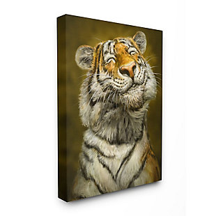 Stupell Industries Happy Tiger Funny Large Cat Animal Painting,30 X 40, Canvas Wall Art, , large