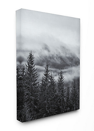 Stupell Industries Snowy Mountain Pine Photograph,24 X 30, Canvas Wall Art, , rollover