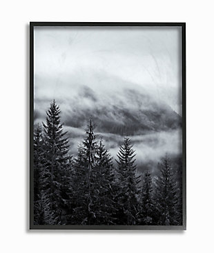 Stupell Industries Snowy Mountain Pine Photograph,11 X 14, Framed Wall Art, , large