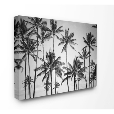 Stupell Industries Palm Trees Skyline Black And White Photography,30 X 40, Canvas Wall Art, , large