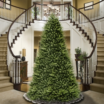 National tree 10 foot store dunhill fir tree