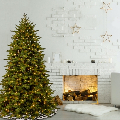 National Tree Company 7.5 ft. PowerConnect Princeton Deluxe Fraser Fir with Dual Color LED Lights, , rollover