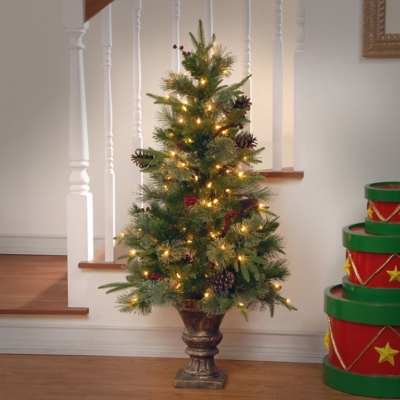 National Tree Company 4 ft. Colonial Entrance Tree with Clear Lights, Green