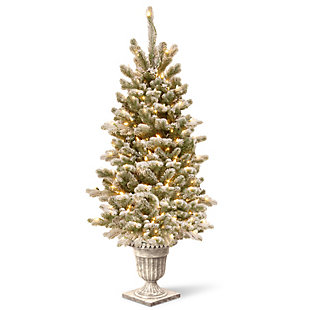 National Tree Company 4 ft. Snowy Sheffield Spruce Entrance Tree with Clear Lights, , large