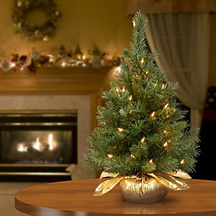 National Tree Company 24" Majestic Fir Tree with Clear Lights, , rollover