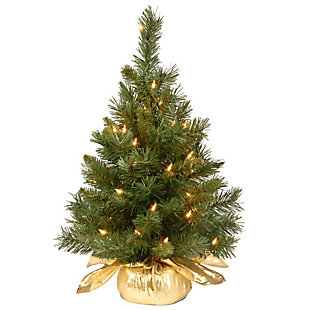 National Tree Company 24" Majestic Fir Tree with Clear Lights, , large