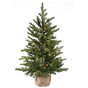 National Tree Company 3 ft. Nordic Spruce Tree with Clear Lights, , large